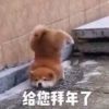 江苏网友30199