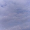 上海网友71157