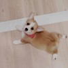 湖南网友85120