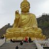 江西网友32348