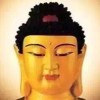 四川网友17029