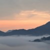 山西网友88289