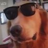 评论头像