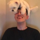 QQ头像
