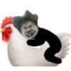 评论头像