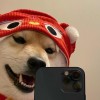 天津网友59559