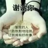 山东网友59165