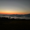 湖北网友71398