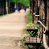重庆网友60095