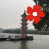 天津网友57722