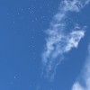 四川网友12270