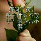 QQ头像