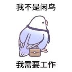 QQ头像