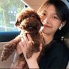 内蒙古网友10518