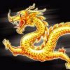 山西网友92036