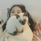 QQ头像