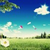 四川网友56513