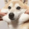 网友昵称：2222