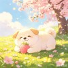 山东网友47407