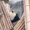 四川网友42391