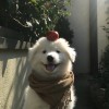 Limsk7的头像-无忧免费游戏网