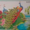 天津网友88342