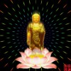 河北网友99261