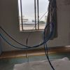 台湾网友24516