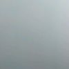 山东网友41205