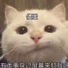 贵州网友61035