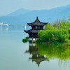 山东网友64748