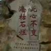 云南网友74430
