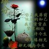 湖南网友63998