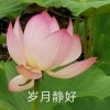 山东网友43462