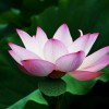 北京网友72944