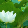 广东网友92673