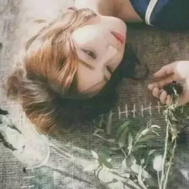 QQ邮箱头像