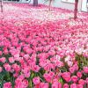 吉林网友76575