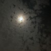 浙江网友44485