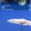 海南网友85748