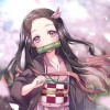 湖北网友25509