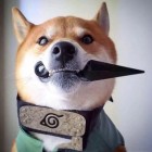 QQ头像