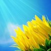 广西网友35070