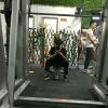 江西网友47790