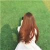 海南网友41048