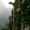 河南网友26596