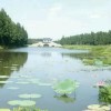 重庆网友46772