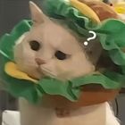 QQ头像
