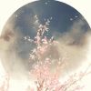 云南网友21051