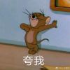 河南网友86536